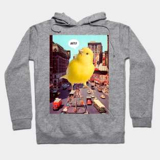 Canary in the City Hoodie